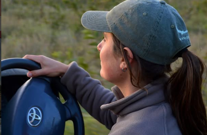 🐾 Tara’s Journey: Wildlife Guide to Tours & Travels